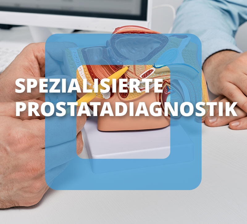 Urodock Spezialisierungen Prostata Diagnostik